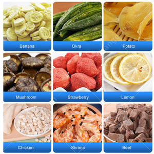 ORME Meilleure <span class=keywords><strong>Machine</strong></span> de Lyophilisation 50kg pour Cuir, Aliments, Fruits et Nids d'Oiseaux - Product Image 6