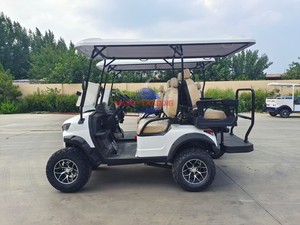Volante para Carro de Golf Eléctrico con Faros Delanteros, Motor de 48V/4KW, Batería Libre de Mantenimiento, Color Blanco - Product Image 6