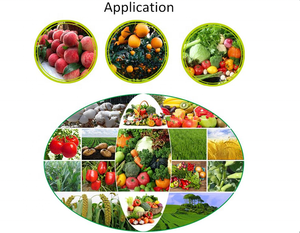 Engrais agricole EDDHA Fe 6% Engrais ferrique chélatant organique - Product Image 5