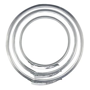 Abrazaderas de Acero Inoxidable de Alta Presión Certificadas, Cumplen con la Normativa REACH, para Sistemas de Roteo de Líneas Automotrices - Product Image 1