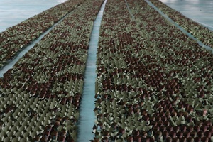 <span class=keywords><strong>Filet</strong></span> <span class=keywords><strong>de</strong></span> <span class=keywords><strong>camouflage</strong></span> jungle durable, taille personnalisée, utilisé pour couvrir et camoufler - Product Image 3