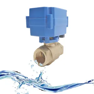CWX-15N 2 Way 3 Way 24VDC Normally Closed Corrosion Resistant PTFE Solenoid Motorized Valve for Chemicals