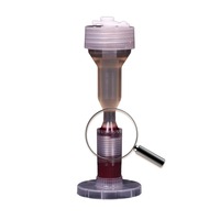 Kit de PRP de un Solo Uso FAUN, 10 ml, 5000 rpm, 8 x 15 ml, para Uso Veterinario, Curación de Heridas, OEM