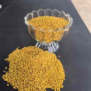 Pollen d'abeille de sarrasin de haute qualité en gros, pollen d'abeille frais et biologique, 100% pur, pollen d'abeille de sarrasin - Product Image 2
