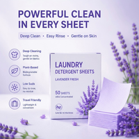 Feuilles de lessive jetables écologiques multi-parfums personnalisables avec options de parfum hypoallergénique et faible mousse OEM