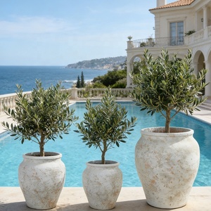 <span class=keywords><strong>Maceta</strong></span> <span class=keywords><strong>Circular</strong></span> de Cemento Tallada a Mano Estilo Americano, Ecológica, para Interiores y Exteriores, para Jardín, Hotel, Uso en Interiores - Product Image 2