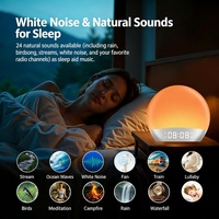 Réveil Lumineux Simulateur d'Aube avec Radio FM, Sons Apaisants et Bruit Blanc, Lampe de Nuit 7 Couleurs, Double Alarme, Fonction Snooze, Alimentation USB, en Plastique