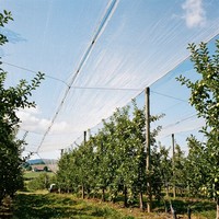 Filet de protection solaire anti-grêle, imperméable et robuste en HDPE tricoté pour vignes, agrumes et vergers