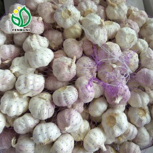 China ajo fresco cita para <span class=keywords><strong>macedonia</strong></span> - Product Image 2