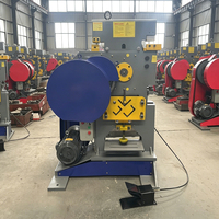 Machine de poinçonnage et de cisaillement combinée à haute efficacité, longueur de cisaillement 200 mm, 380 V, pour la fabrication de tôles en acier