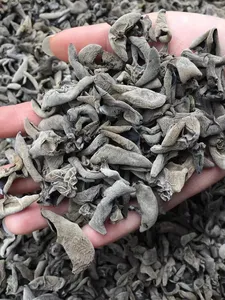 Hochwertiger getrockneter schwarzer Bio-Pilz DETAN exportiert getrockneten Agaric Dried Black Fungus zum Verkauf