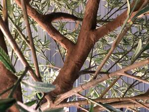 Grand <span class=keywords><strong>olivier</strong></span> artificiel de 3 à 7 m, arbres ornementaux pour la décoration intérieure - Product Image 6
