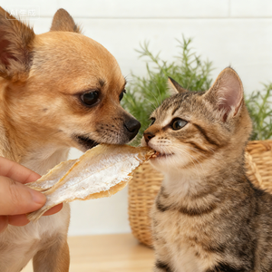 חטיף דגים קלופים ללא תוספים, ספציפי למשפחות עם מספר חיות מחמד, חטיף דגים אוניברסלי לחיות מחמד - Product Image 2