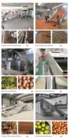 Roestvrijstalen Warmtepomp Droger Machine Voor Noten & Fruit Amandel Pistache Camellia Kerncomponenten Plc & Motor