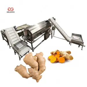 Small Medium Scale Ginger Cleaning and Peeling Line Automatic Peeler Turmeric Washing Machine