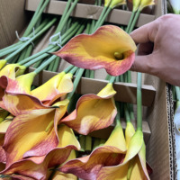Prix d'usine, grande taille, fleurs artificielles Calla Lily en EVA, effet réaliste, Calla Lily pour décoration de centre de table