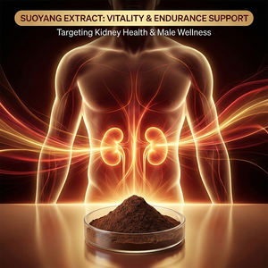 ผงสกัดสมุนไพรธรรมชาติ ซินโนโมเรียม ซองกาเริคัม เกรดอาหารเพื่อสุขภาพ อัตราส่วน 10:1-50:1  ผลิตจากพืชปลูกในร่ม - Product Image 2