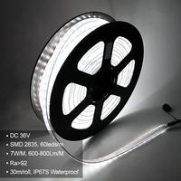 Lumière de tunnel LED étanche à l'explosion IP67, 30 m, 8 pieds, 36 V CC, basse tension, sûre pour les mines de charbon, installation facile, bande lumineuse de tunnel
