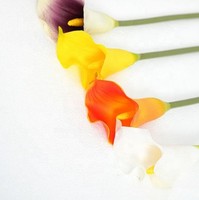 Kualitas tinggi sentuhan asli PU buatan bunga Calla Lily putih untuk meja natal bagian pusat pesta pernikahan Dekorasi Rumah