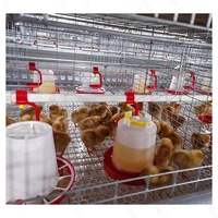 Nouvelle Offre Prix Usine Zhuoyi Cage H-Type Galvanisée à Chaud 3/4 Niveaux Capacité 90-240/120-320 Taille Personnalisée Longue Durée de Vie