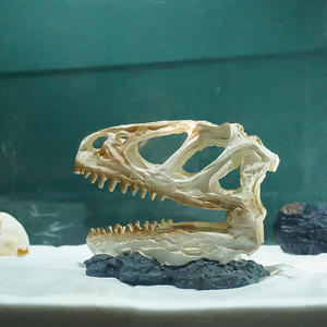 Haute Qualité Résine Tyrannosaurus <span class=keywords><strong>Rex</strong></span> Crâne Aquarium Fish Tank Décoration En Plastique Paysage Artisanat - Product Image 6