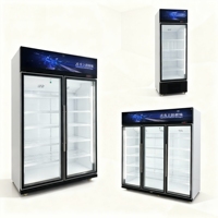 Réfrigérateur de présentation de boissons vertical à porte vitrée simple, mécanique, à température unique, pour supermarché commercial, 1/2/3 portes