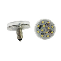 Luz LED de Punto Pixel para Parque de Atracciones, Bombilla LED para Carrusel E10 E14 AC24V AC60V, Luz Blanca Fría para Paisajismo