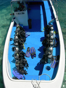 China Grandsea Fibreglass 9.6m Panga Type <strong>Dive</strong> and Scuba <strong>Boat</strong> for Sale Outboard Engine - Product Image 4
