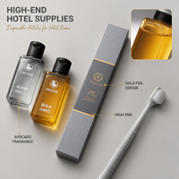 Kit d'articles de toilette jetables en plastique tendance pour hôtels, vente en gros, pour couples en lune de miel, logo personnalisé OEM ODM