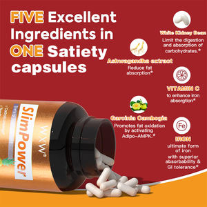 เครื่องเผาผลาญไขมันสำหรับผู้ใหญ่ผลิตภัณฑ์เสริมอาหารเพื่อสุขภาพ - Product Image 5