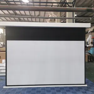 TELON SCREEN electric In ceiling motorized projector screen home cinema ceiling hiding with matte white fabric