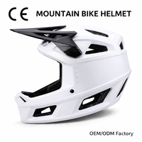 Casque de vélo de montagne intégral certifié CE, vente en gros d'usine, casque de cyclisme VTT pour adultes, casque de vélo à ajustement réglable