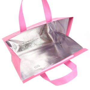 Biểu Tượng Tùy Chỉnh Tái Sử Dụng Leakproof Nhiệt Ăn Trưa Tote Túi 15L/20L/30L Công Suất Túi Lạnh Người Đàn Ông Của Phụ Nữ Ăn Trưa Hộp Container - Product Image 2