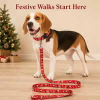 Ensemble collier et laisse de Noël pour chien, harnais en sangle avec anneau en D, corde de promenade, motif renne personnalisé pour chiens et chats de petite et moyenne taille