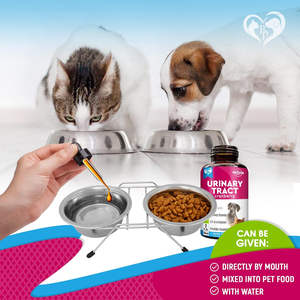 Suppléments de soins de santé pour animaux de compagnie voies urinaires pour chiens chats supplément de santé des voies urinaires joint peau manteau voies urinaires - Product Image 5