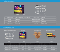 Éclairage de Façade RGBIC Permanent pour Extérieur, Bluetooth IP67 24V, Contrôle par Application, pour Toit, Bordure de Toit, Cour, Porche, Façade de Magasin