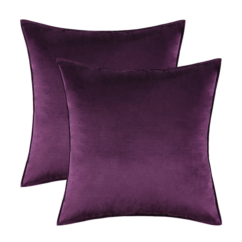 Aubergine pourpre