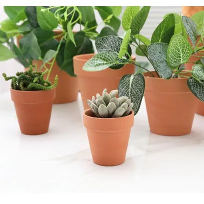 Vente en gros de mini pots en terre cuite pots de cactus succulents poterie petit pot de fleur succulente pour bureau utilisé