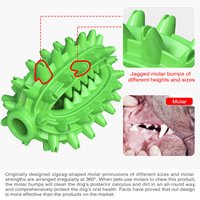 Jouet à mâcher en plastique vert à picots, durable, pour le nettoyage des dents des chiens, design solide interactif