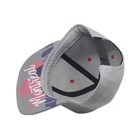 Topi Baseball Hip-Hop Snapback Berbahan 100% Katun dengan Pola Huruf Bordir 3D dan Pinggiran Datar