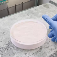 Enzymes Composées pour Aliments Complémentaires de Volailles : Additifs en Poudre pour Poulets de Chair Améliorant la Digestion et la Nutrition, 25kg/sac