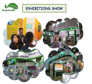 <span class=keywords><strong>ปลาหมึก</strong></span> (<span class=keywords><strong>ปลาหมึก</strong></span>) <span class=keywords><strong>ปลาหมึก</strong></span>แช่แข็งแห้ง - Product Image 5