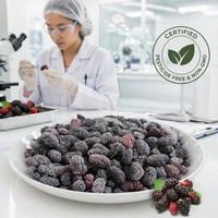 Graad A Halal IQF Diepvries Mulberiën Groothandel |   100% natuurlijke, verse, diepvries hele zwarte moerbeien voor sap, smoothies & jam