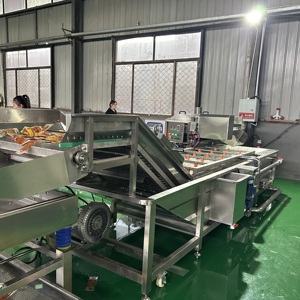 Máquina de limpieza de vegetales industrial grande semiautomática Motor de tecnología de burbujas de aire y componentes de núcleo de bomba para frutas - Product Image 4