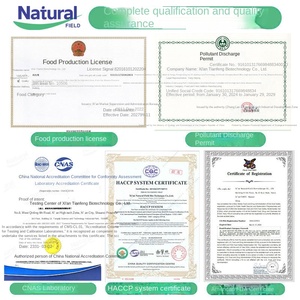 Citicoline en Polvo 99% Grado de Exportación CAS 987-78-0 Materia Prima de Cerebrolysin - Product Image 2