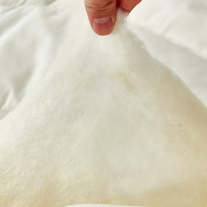 لحاف شتوي مطبوع حسب الطلب عالي الجودة بدون رائحة دافئ من البوليستر/القطن للاستخدام المنزلي والفندقي - Product Image 3