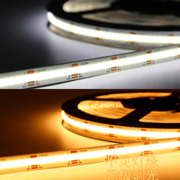 Bande lumineuse LED RGBIC Dreamcolor Flex COB Stripe tira de luces Adressable Programmable 12 24 volts Digital RGB IC