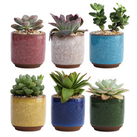 Pot de fleurs respirant effet craquelé, mini jardinière de bureau pour arrangement de plantes succulentes, en céramique colorée et fraîche