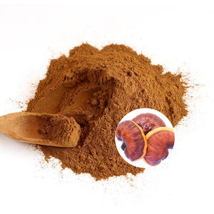 ผงสกัดจากเห็ดหลินจือ10:1 20:1 30:1 50:1สารสกัดจากเห็ดหลินจือจีน - Product Image 3