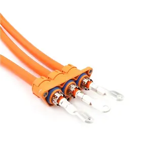 Arnés de cables automático personalizado FPIC OEM Fabricante de arnés de cableado de alto voltaje para automóviles eléctricos